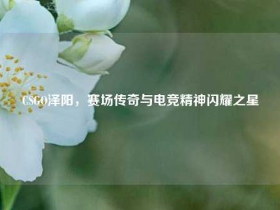 CSGO泽阳，赛场传奇与电竞精神闪耀之星