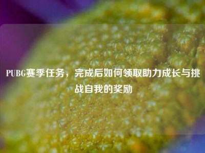 PUBG赛季任务，完成后如何领取助力成长与挑战自我的奖励
