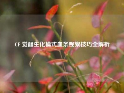 CF 觉醒生化模式血条观察技巧全解析