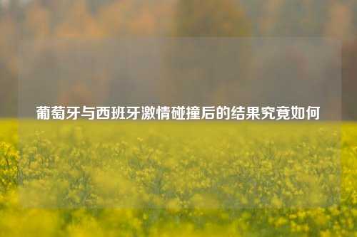葡萄牙与西班牙激情碰撞后的结果究竟如何