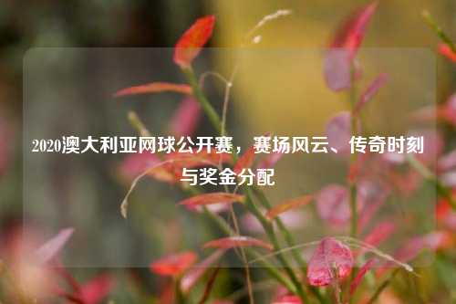 2020澳大利亚网球公开赛,赛场风云、传奇时刻与奖金分配