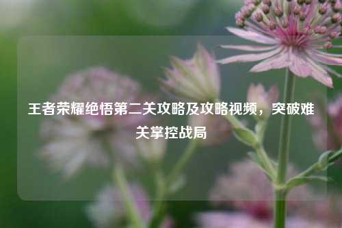 王者荣耀绝悟第二关攻略及攻略视频,突破难关掌控战局