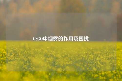 CSGO中烟雾的作用及困扰