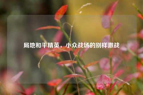 局地和平精英,小众战场的别样激战