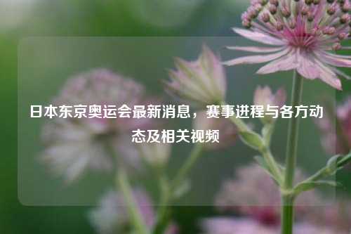 日本东京奥运会最新消息，赛事进程与各方动态及相关视频