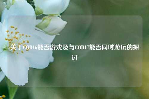 关于COD16能否游戏及与COD17能否同时游玩的探讨