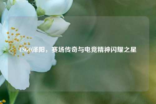 CSGO泽阳，赛场传奇与电竞精神闪耀之星