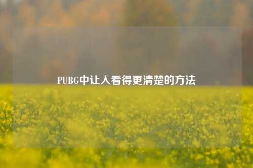 PUBG中让人看得更清楚的