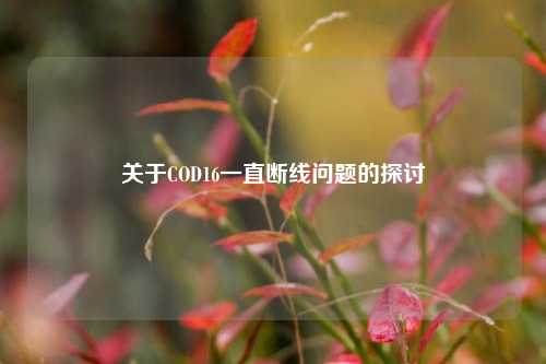 关于COD16一直断线问题的探讨