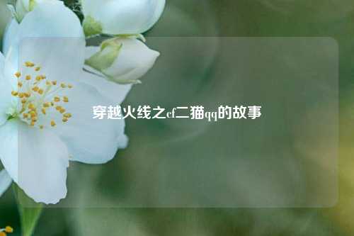 穿越火线之cf二猫qq的故事