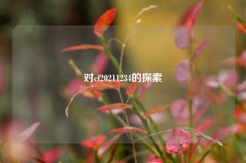 对cf20211234的探索