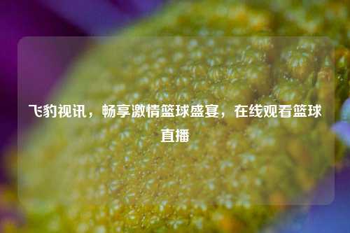 飞豹视讯，畅享激情篮球盛宴，在线观看篮球直播