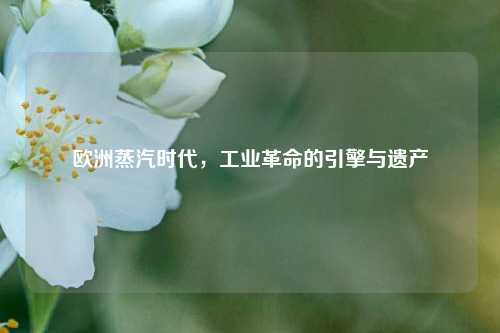 欧洲蒸汽时代，工业革命的引擎与遗产
