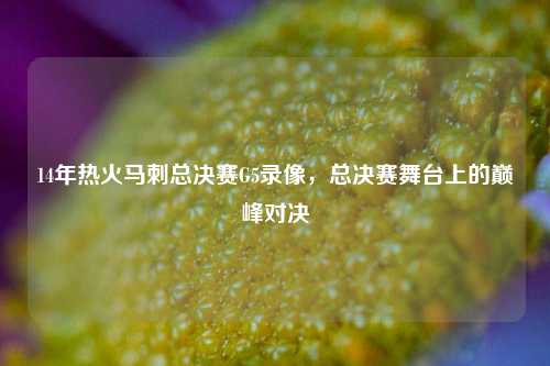 14年热火马刺总决赛G5录像，总决赛舞台上的巅峰对决