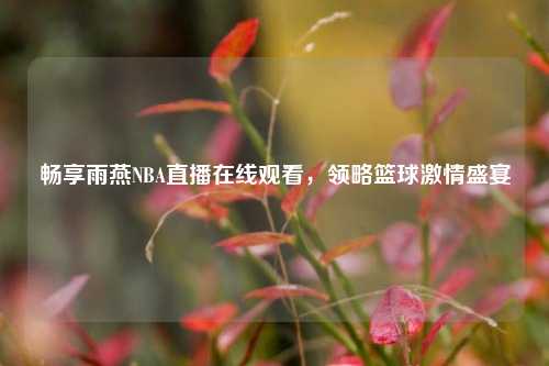 畅享雨燕NBA直播在线观看，领略篮球激情盛宴