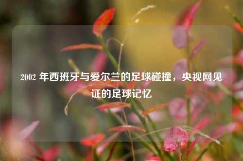 2002 年西班牙与爱尔兰的足球碰撞，央视网见证的足球记忆