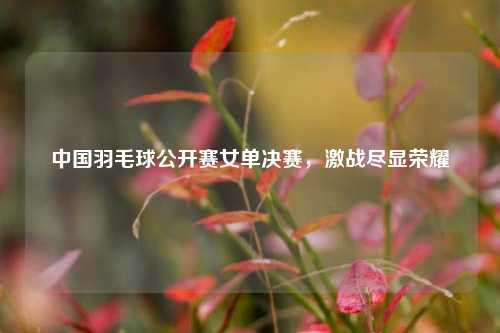 中国羽毛球公开赛女单决赛，激战尽显荣耀