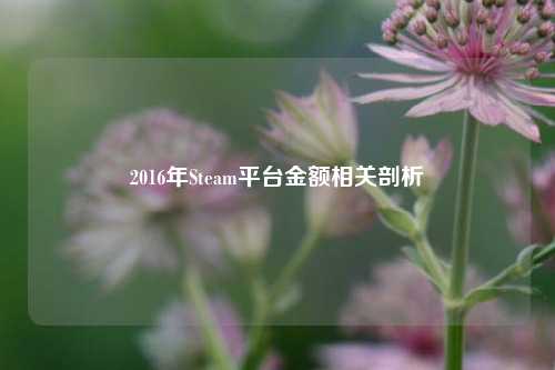 2016年Steam平台金额相关剖析
