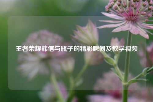 王者荣耀韩信与瓶子的精彩瞬间及教学视频