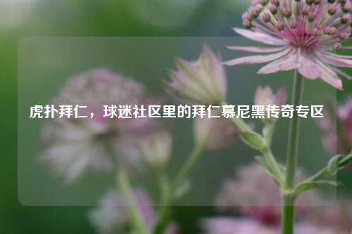 虎扑拜仁，球迷社区里的拜仁慕尼黑传奇专区