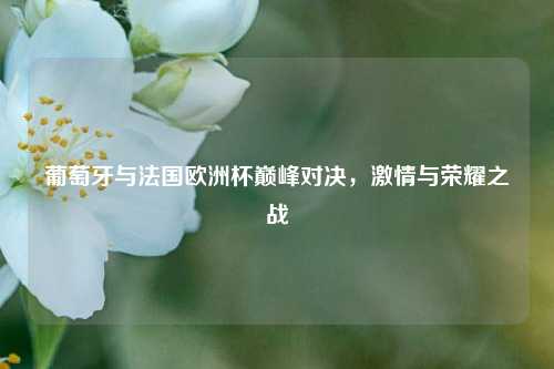 葡萄牙与法国欧洲杯巅峰对决，激情与荣耀之战
