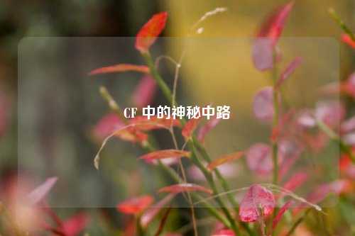 CF 中的神秘中路