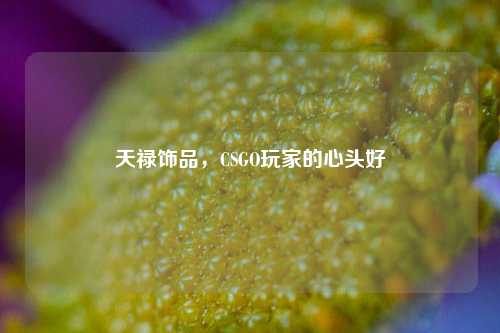 天禄饰品，CSGO玩家的心头好