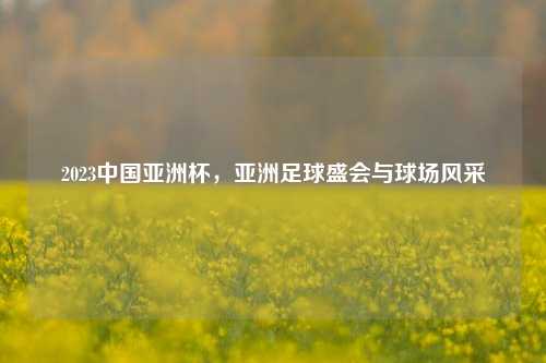 2023中国亚洲杯，亚洲足球盛会与球场风采