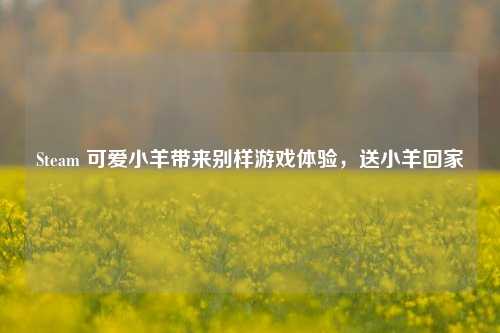 Steam 可爱小羊带来别样游戏体验，送小羊回家