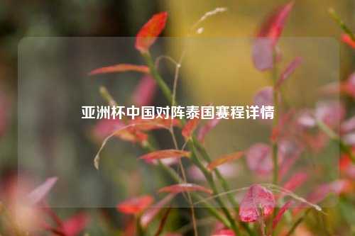 亚洲杯中国对阵泰国赛程详情