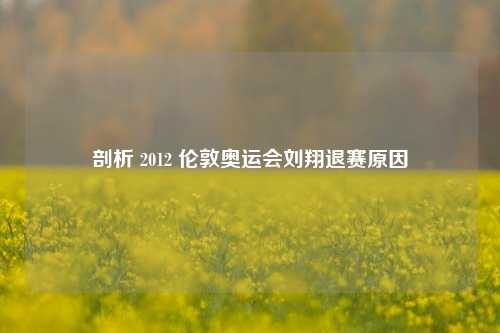 剖析 2012 伦敦奥运会刘翔退赛原因