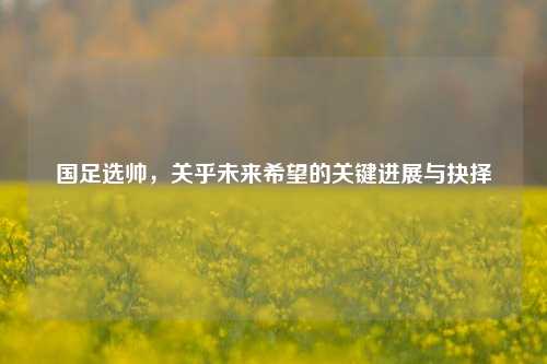 国足选帅，关乎未来希望的关键进展与抉择