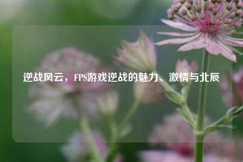 逆战风云，FPS游戏逆战的魅力、激情与北辰