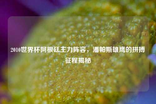 2010世界杯阿根廷主力阵容，潘帕斯雄鹰的拼搏征程揭秘