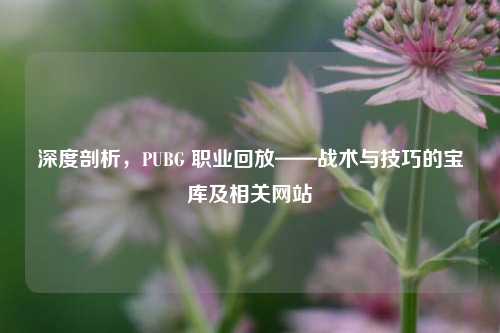 深度剖析，PUBG 职业回放——战术与技巧的宝库及相关网站