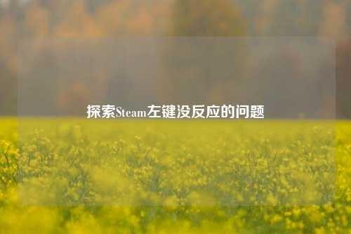 探索Steam左键没反应的问题