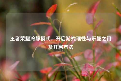 王者荣耀冷静模式，开启游戏理性与乐趣之门及开启方法