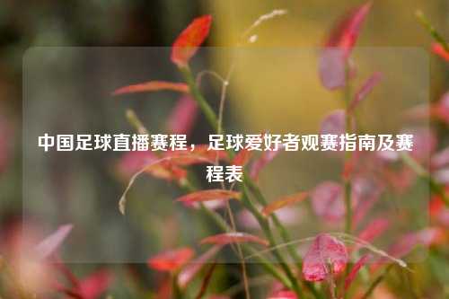 中国足球直播赛程，足球爱好者观赛指南及赛程表