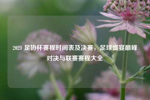 2021 足协杯赛程时间表及决赛，足球盛宴巅峰对决与联赛赛程大全