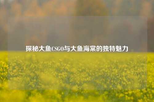 探秘大鱼CSGO与大鱼海棠的独特魅力