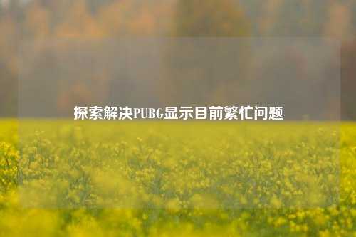 探索解决PUBG显示目前繁忙问题