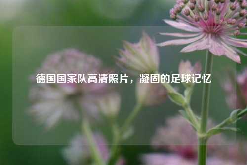 德国国家队高清照片，凝固的足球记忆