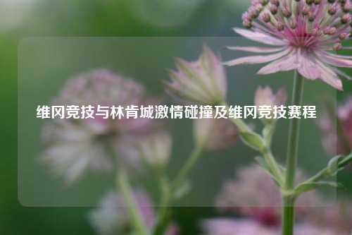 维冈竞技与林肯城激情碰撞及维冈竞技赛程