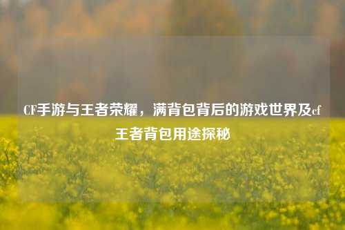 CF手游与王者荣耀，满背包背后的游戏世界及cf王者背包用途探秘
