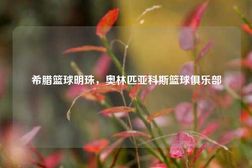 希腊篮球明珠，奥林匹亚科斯篮球俱乐部