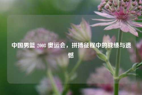 中国男篮 2008 奥运会，拼搏征程中的战绩与遗憾