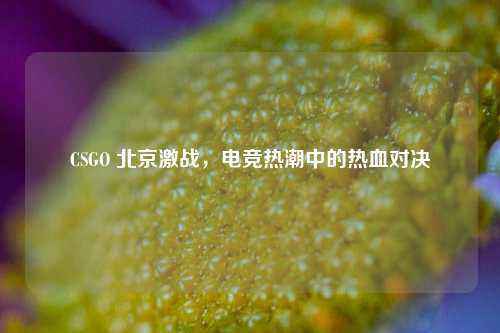 CSGO 北京激战，电竞热潮中的热血对决