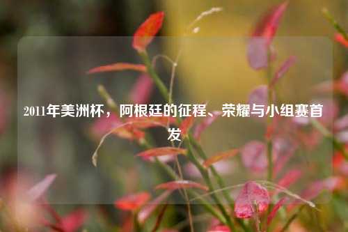 2011年美洲杯，阿根廷的征程、荣耀与小组赛首发