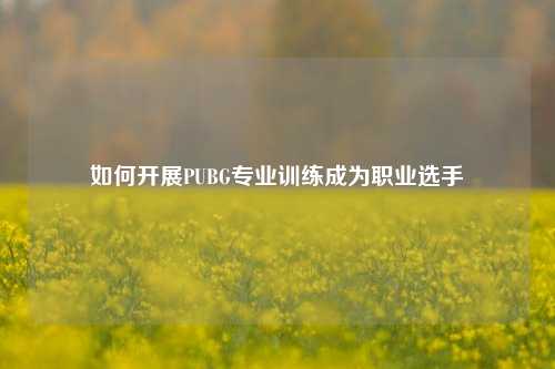 如何开展PUBG专业训练成为职业选手
