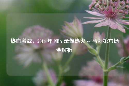 热血激战，2014 年 NBA 录像热火 vs 马刺第六场全解析